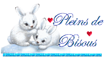 bonne année