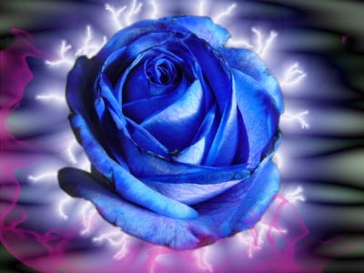 saint valentin !!!!